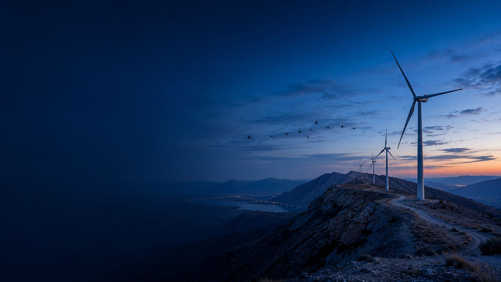 Bird & Bat Surveys for Wind Farms: VP Method & Collision Risk